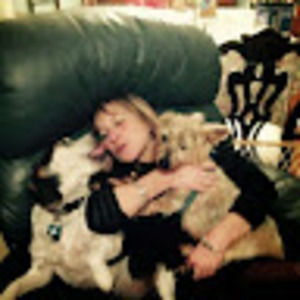 Meet your Posher, Ellen